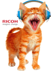 headphone-cat