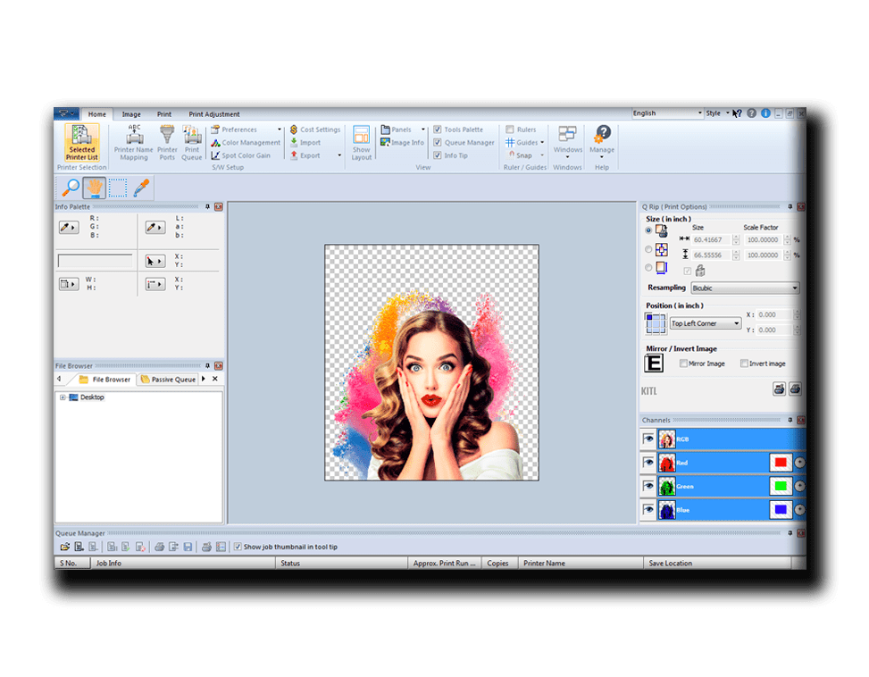 printer rip software free download